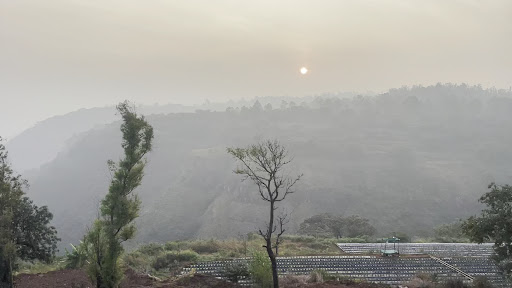 Photo from customer review