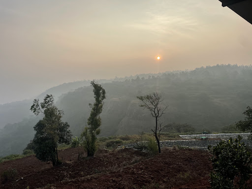 Photo from customer review